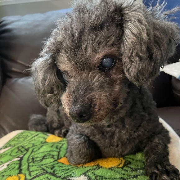 Like and FOLLOW for Giveaway! TT TV Live Tag it up with Me๐๐บ๐ฅโ๏ธ - Picture 14 of 14